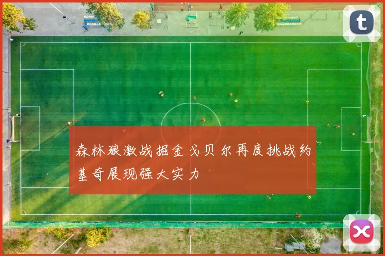 森林狼激战掘金戈贝尔再度挑战约基奇展现强大实力
